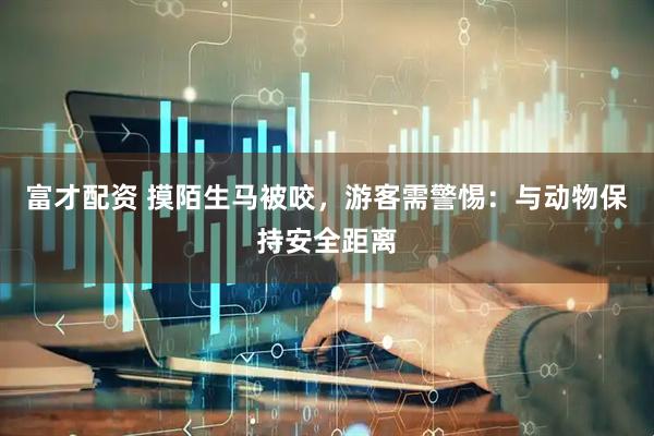 富才配资 摸陌生马被咬，游客需警惕：与动物保持安全距离
