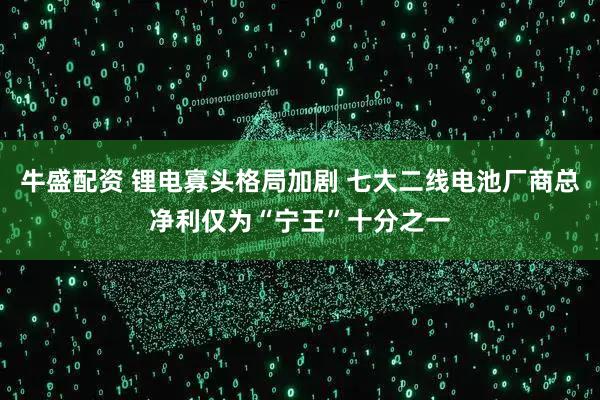 牛盛配资 锂电寡头格局加剧 七大二线电池厂商总净利仅为“宁王”十分之一