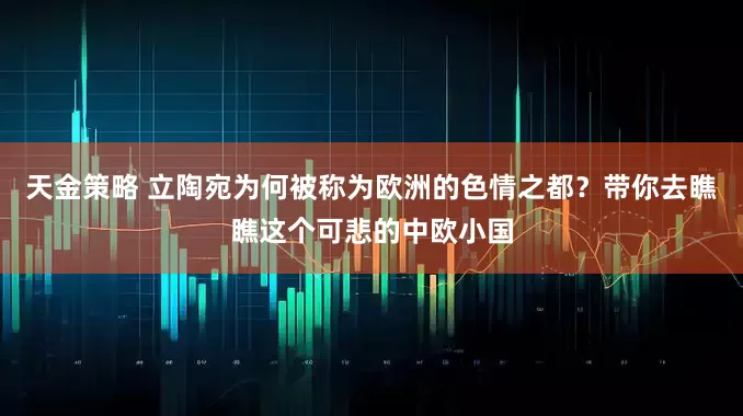 天金策略 立陶宛为何被称为欧洲的色情之都？带你去瞧瞧这个可悲的中欧小国