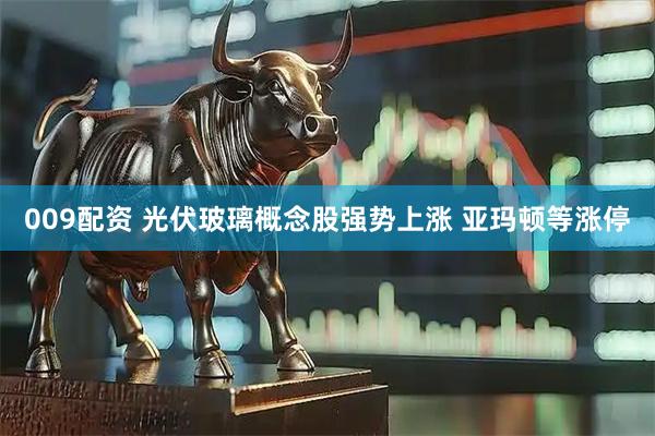 009配资 光伏玻璃概念股强势上涨 亚玛顿等涨停