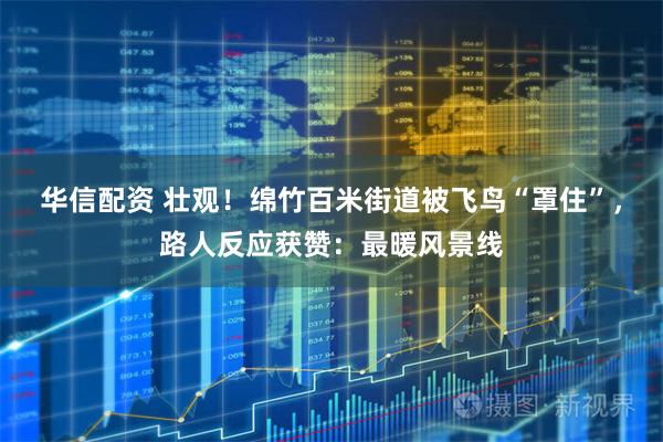 华信配资 壮观！绵竹百米街道被飞鸟“罩住”，路人反应获赞：最暖风景线