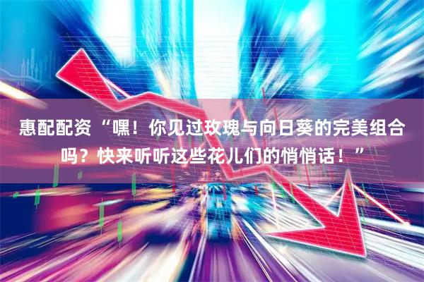 惠配配资 “嘿！你见过玫瑰与向日葵的完美组合吗？快来听听这些花儿们的悄悄话！”